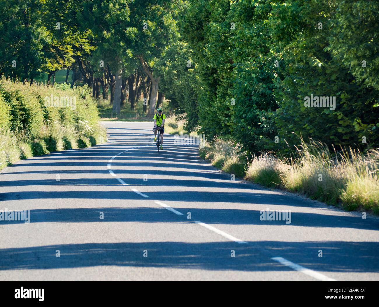 Que faire pendant la pandémie? Eh bien, se mettre en forme ou s'adapter est une grande idée. Personnellement, je fais du jogging, mais le vélo est bon aussi. Cette route qui dépasse Rad Banque D'Images