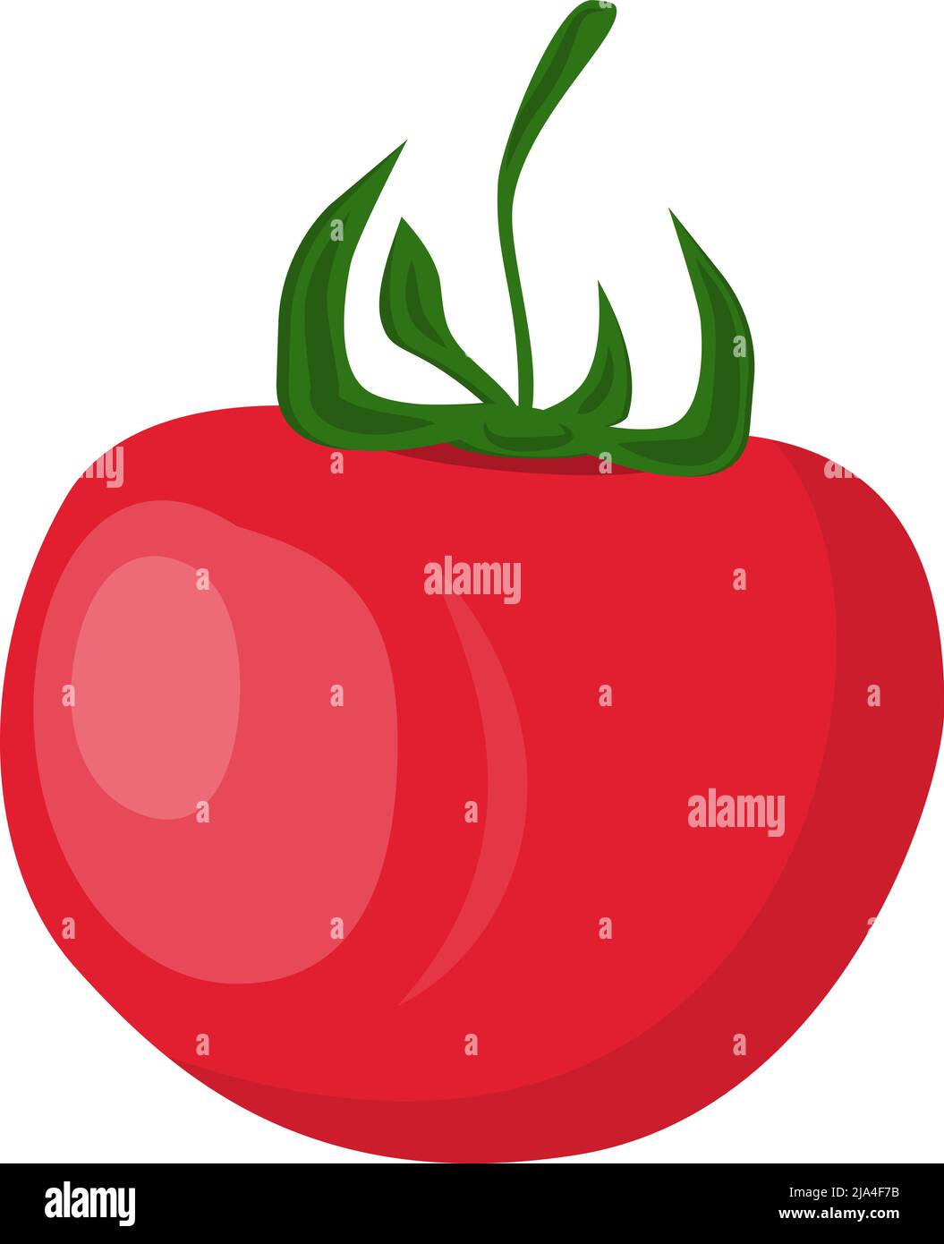 tomate mûre isolée sur fond blanc, illustration vectorielle plate Illustration de Vecteur