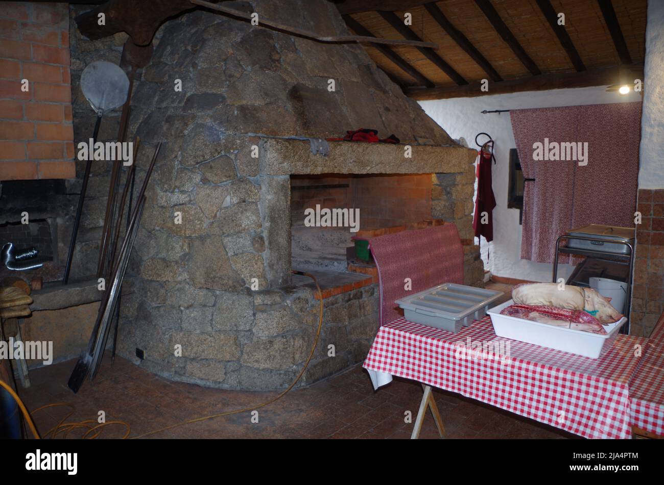 Sanglier devant un grill-feu. Banque D'Images