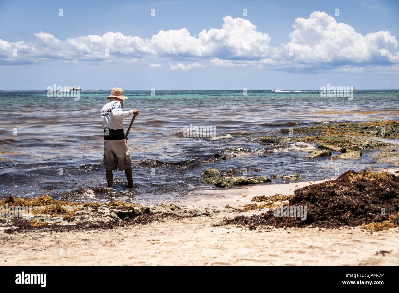 Nettoyage des algues sargassum sur Playa del Carmen, Mexique. Travail extrême sous le soleil. Riviera Maya. Banque D'Images