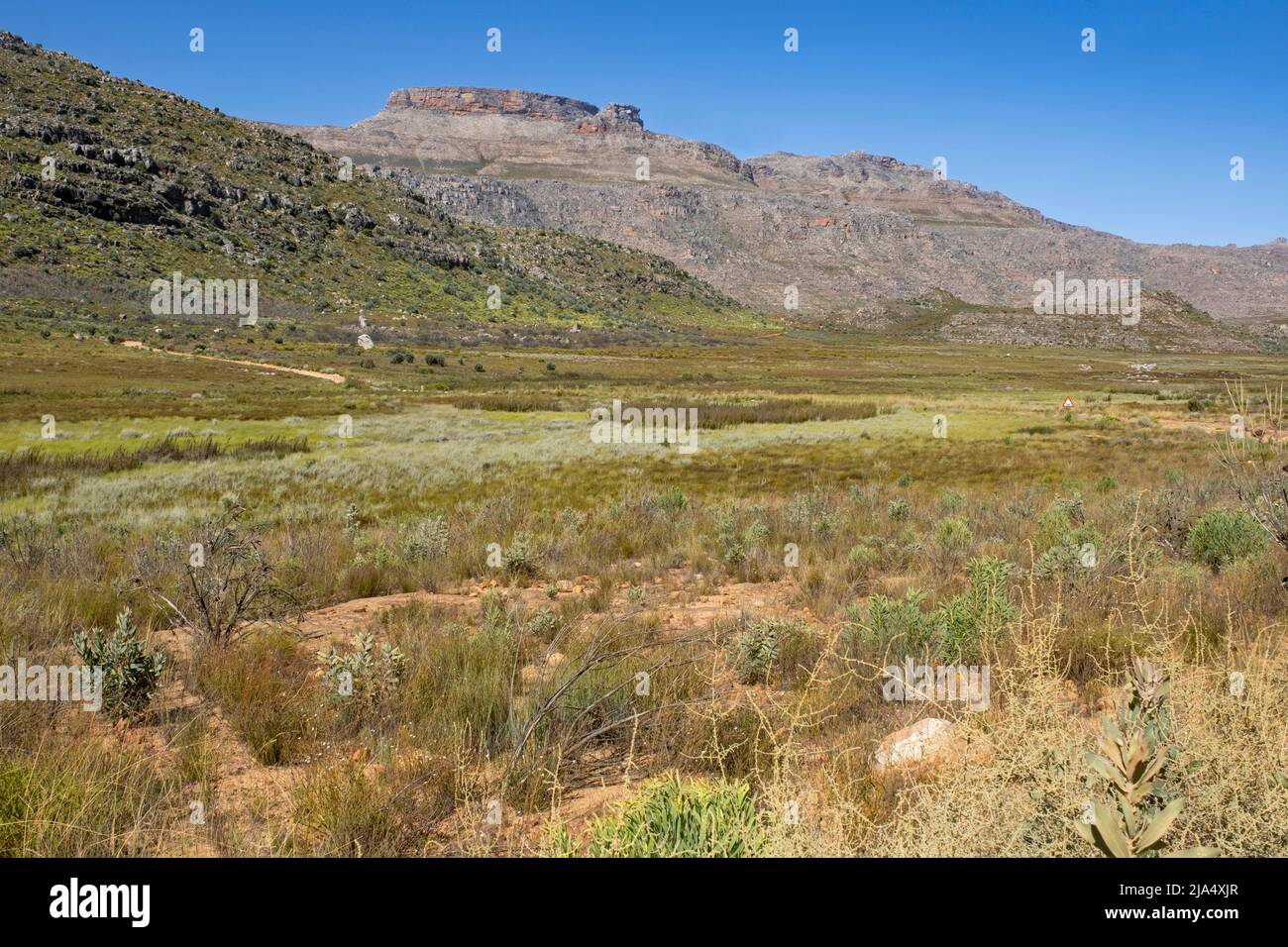 Les montagnes de Cederberg près de Clanwilliam, province du Cap occidental, Afrique du Sud Banque D'Images