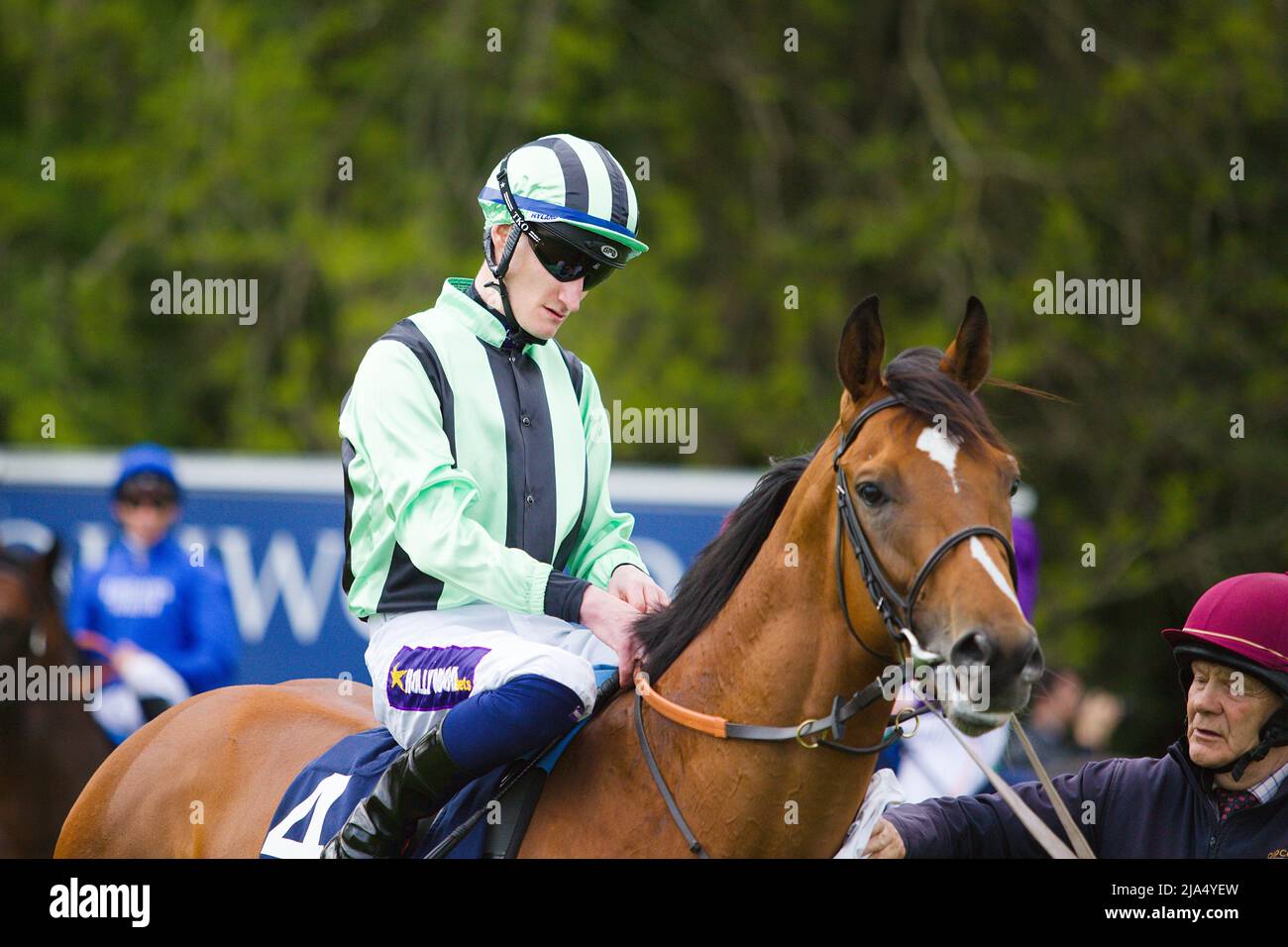 Jockey Daniel Muscutt sur El Bodegon aux courses de York. Banque D'Images