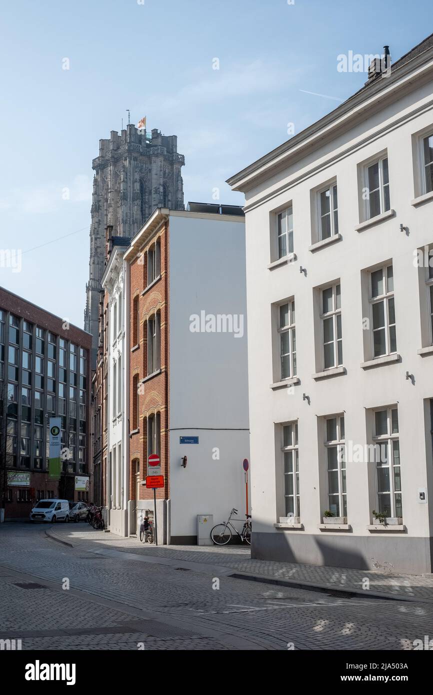 MECHELEN, Malines, Anvers, BELGIQUE, mars 2, 2022, rue avec vue sur la cathédrale Saint Rumbold à Mechelen. Mechelen, région flamande, Belgique. Photo de haute qualité Banque D'Images