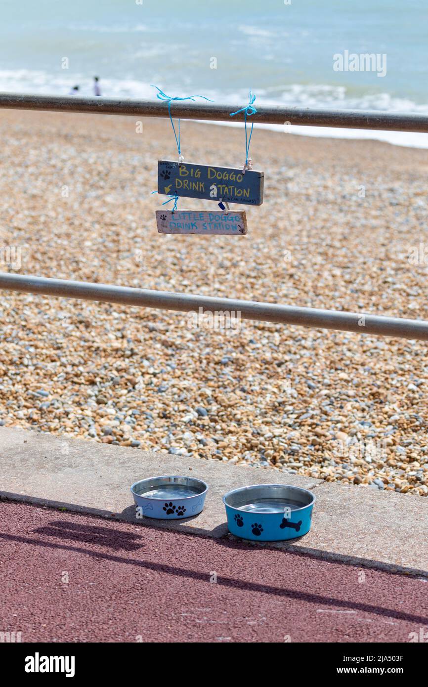 Bols pour chiens, plats, plein d'eau au bord de la mer pour les chiens assoiffés, hastings, East sussex, royaume-uni Banque D'Images