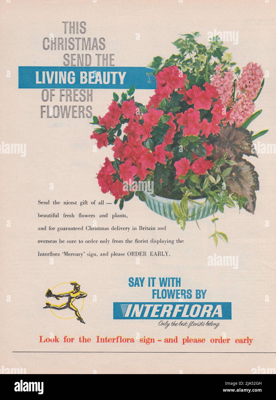 Interflora fleuriste vintage magazine publicité papier annonce 1965 Banque D'Images