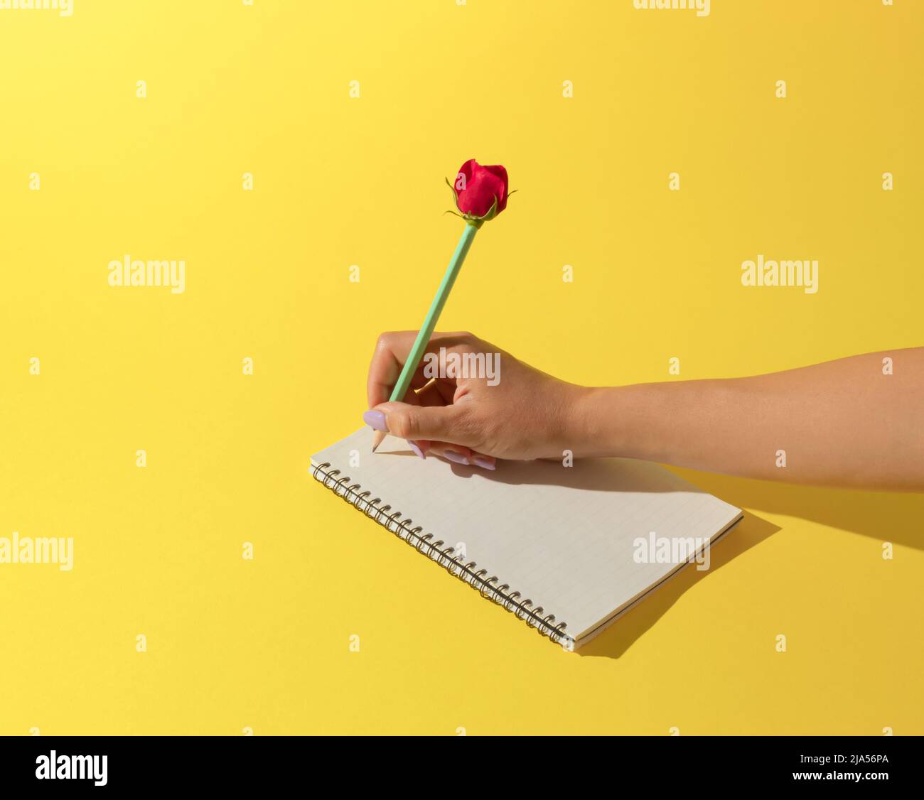 Un carnet scolaire et un crayon avec une rose rouge sur fond jaune. Concept de bus minimal. Banque D'Images