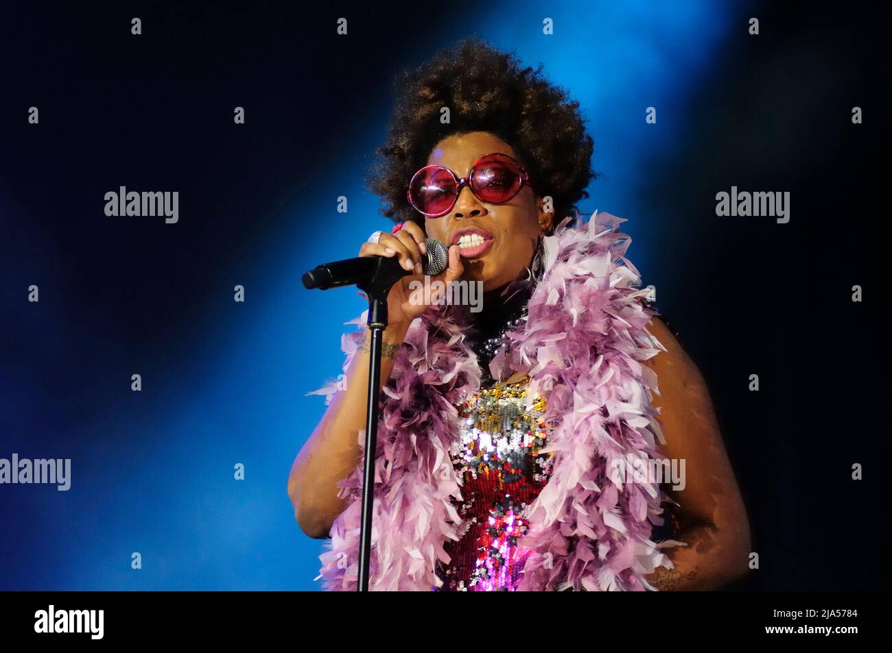 Vienne, Autriche. 28 juin 2014. Macy Gray au Festival de l'île du Danube à Vienne Banque D'Images