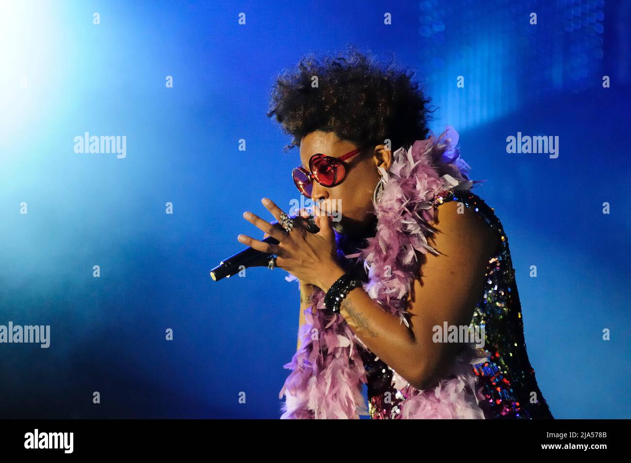 Vienne, Autriche. 28 juin 2014. Macy Gray au Festival de l'île du Danube à Vienne Banque D'Images