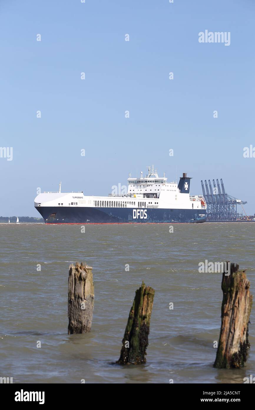 RO-RO (Roll On - Roll Off) navire de cargaison Tulipa Seaways quittant le port de Felixstowe, Suffolk, Royaume-Uni. Banque D'Images