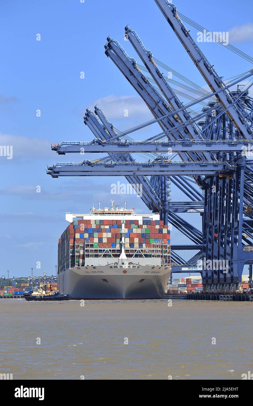 Navire à conteneurs OOCL Hong Kong entrant dans Harwich Haven et le port de Felixstowe assisté par les remorqueurs Svitzer Kent, Svitzer Deben et Svitzer Shotl Banque D'Images