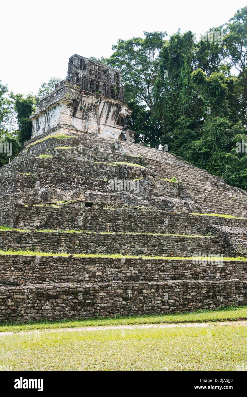 Des marches mènent vers le haut du côté du Temple Maya de la pyramide du Comte à la zone archéologique de Palenque, État du Chiapas, Mexique Banque D'Images