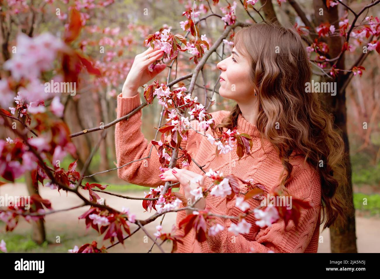 Belle femme debout sous la fleur rose Sakura Banque D'Images