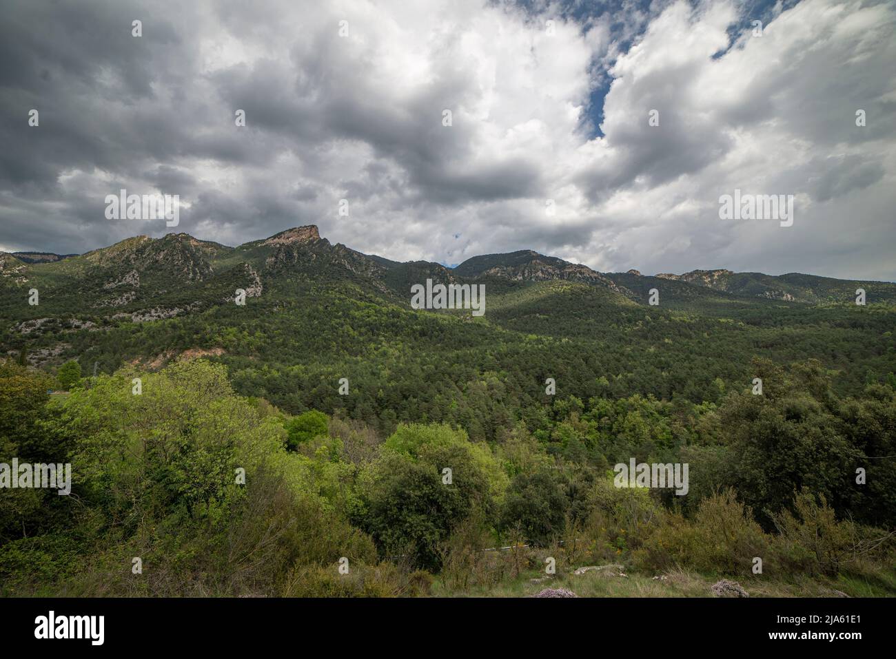 montañas con muchas plantas arboles con un gran cumulo de nubes Banque D'Images