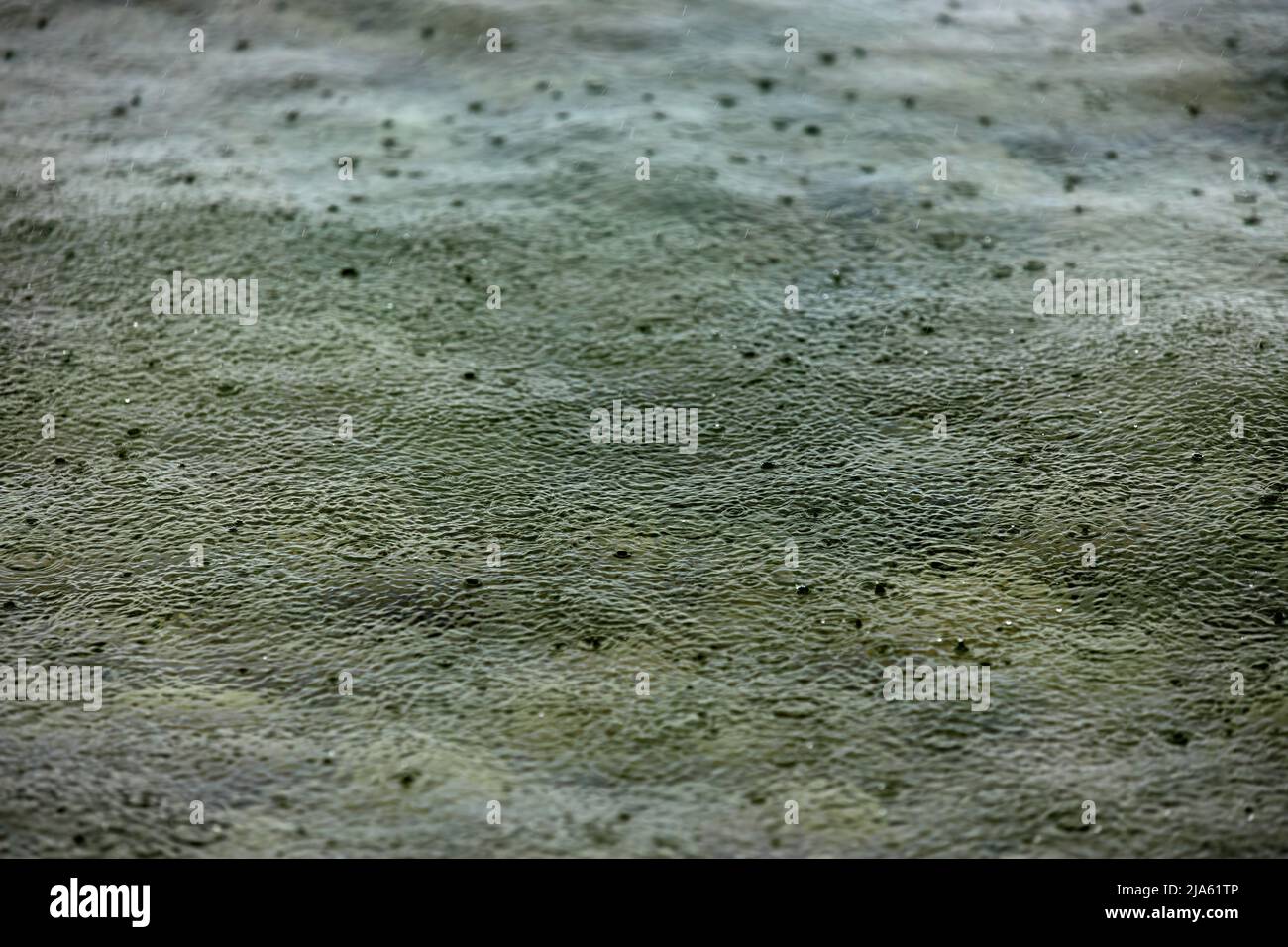 Gouttes de pluie et pluie tombant sur la surface d'un lac lors d'une forte averse créant une atmosphère de mauvaise humeur Banque D'Images