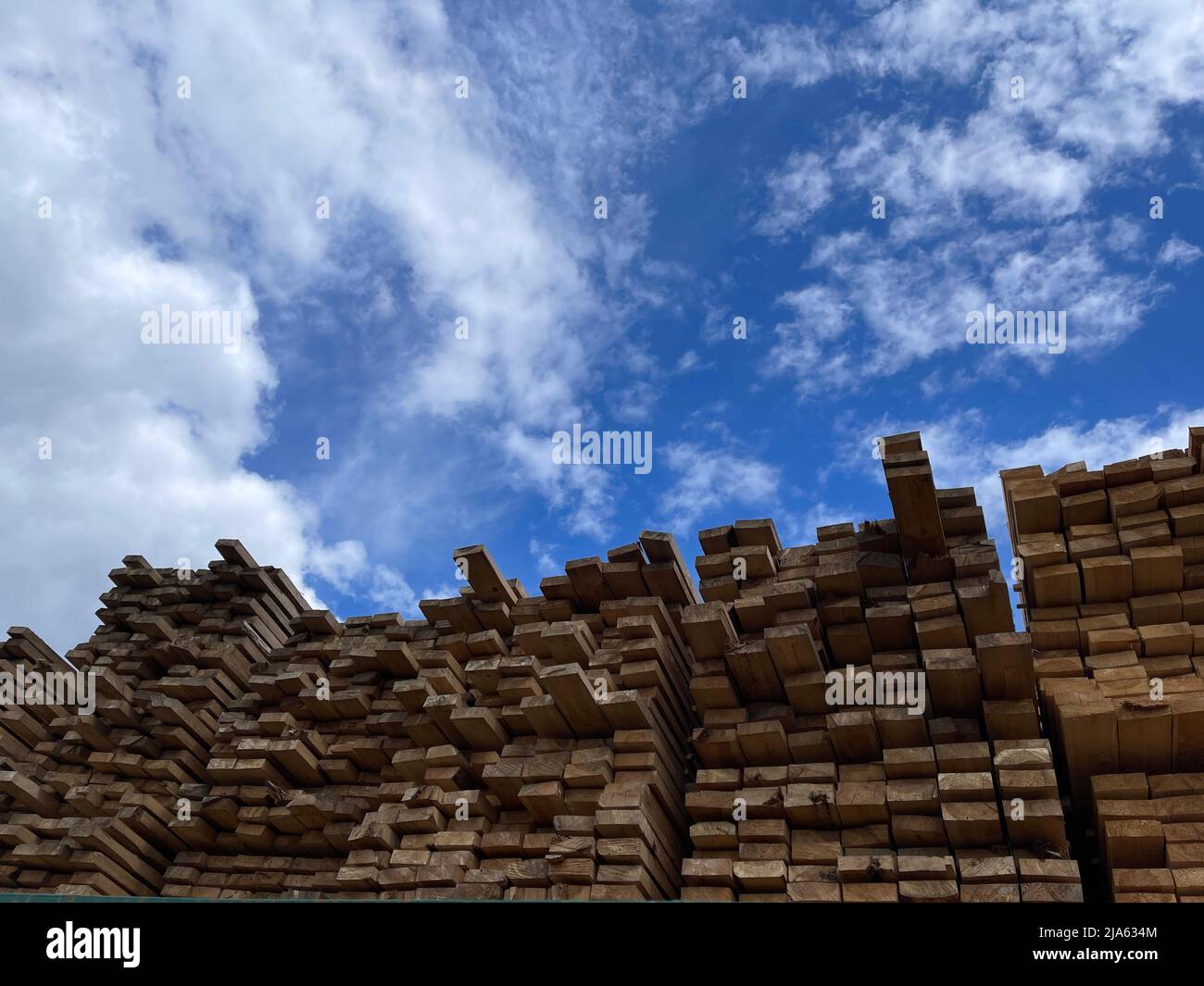 Bois, bois d'oeuvre, bois industriel, bois d'oeuvre. Pile de bois de