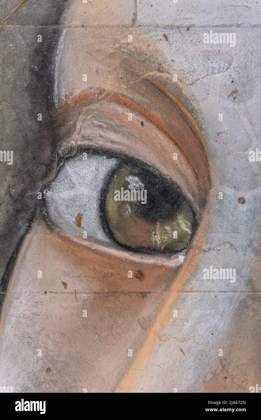 Grado, Italie - 8 juillet 2021: Un oeil comme une partie isolée d'un visage, peint sur l'asphalte dans la ville, art de rue Banque D'Images