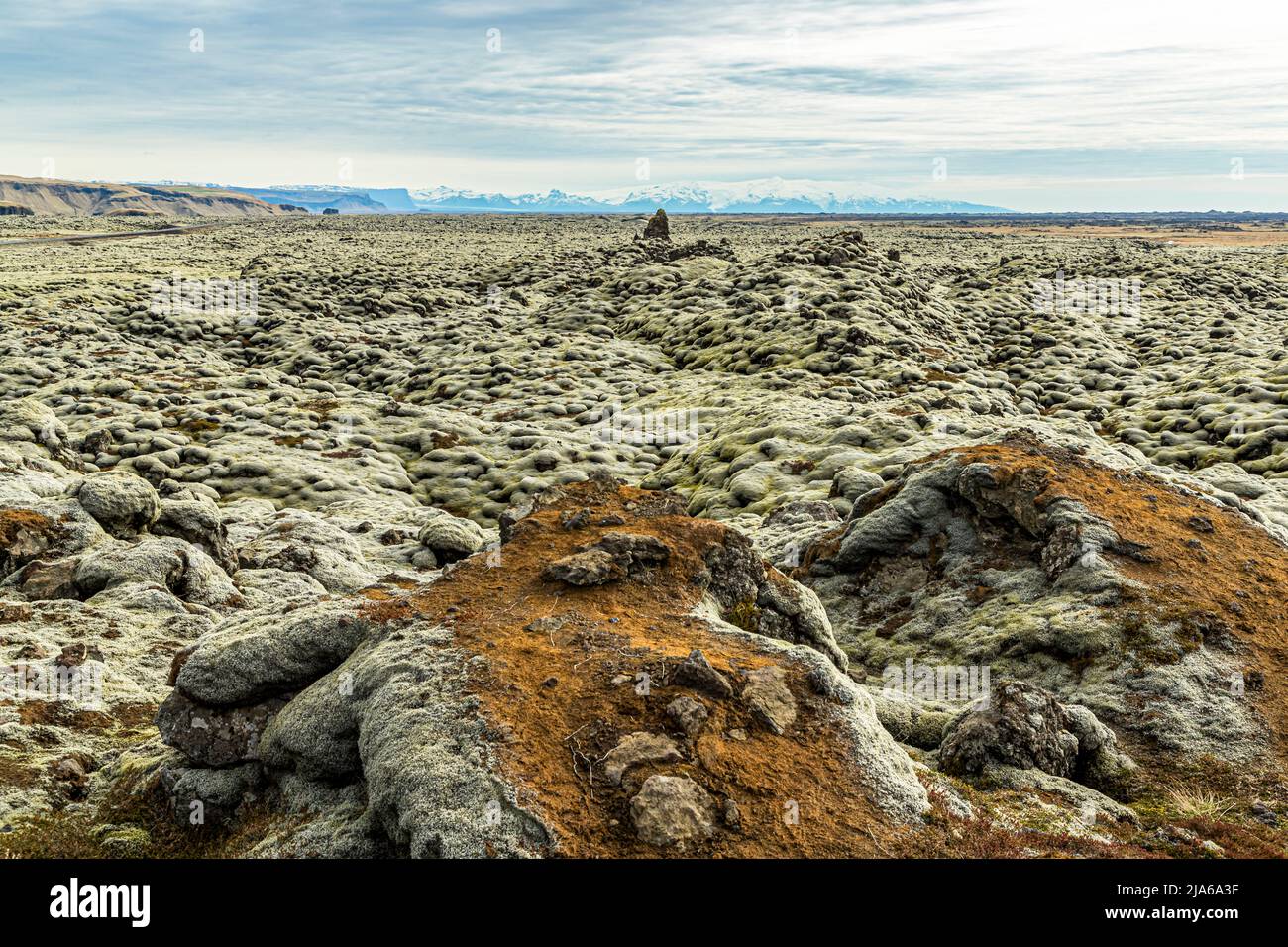 L'Eldhraun (lave-feu) est un immense champ de lave en Islande, qui aujourd'hui est principalement recouvert de mousse. C'est le plus grand champ de lave au monde et couvre une superficie de 565 km². Il a été formé pendant l'éruption dévastatrice de Laki en 1783/1784. Banque D'Images