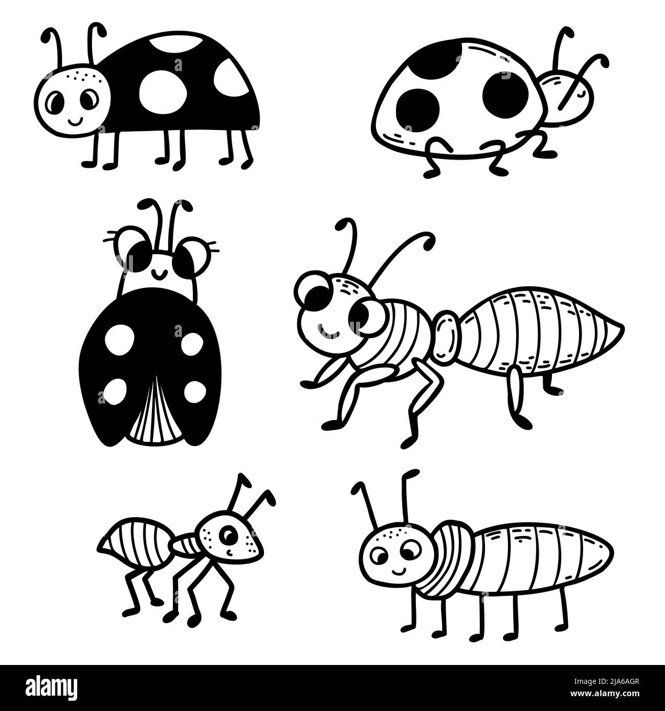 Collection d'insectes mignons - coccinelle et fourmis. Caniche linéaire dessinée à la main. Illustration vectorielle. Éléments isolés pour le design, le décor, la décoration et le prin Illustration de Vecteur