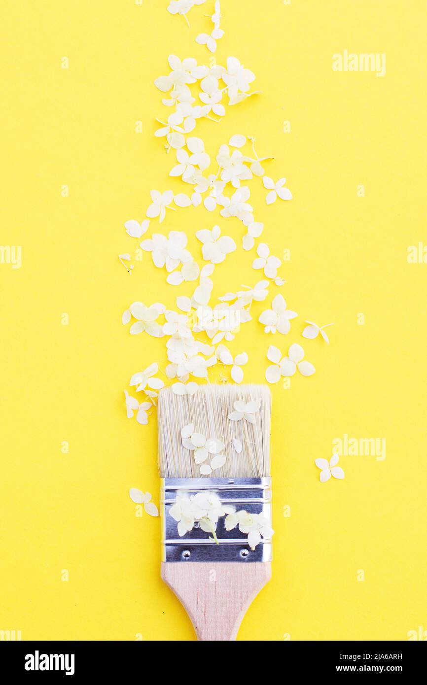 fleurs d'hortensia blanc et pinceau sur fond jaune avec espace de copie. Pose à plat. Banque D'Images