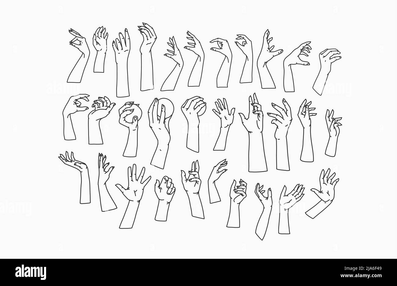 Ensemble de lignes de collection pour les femmes. Vecteur illustrations féminines des mains de femmes de différents gestes. Lineart dans un style tendance minimaliste Illustration de Vecteur