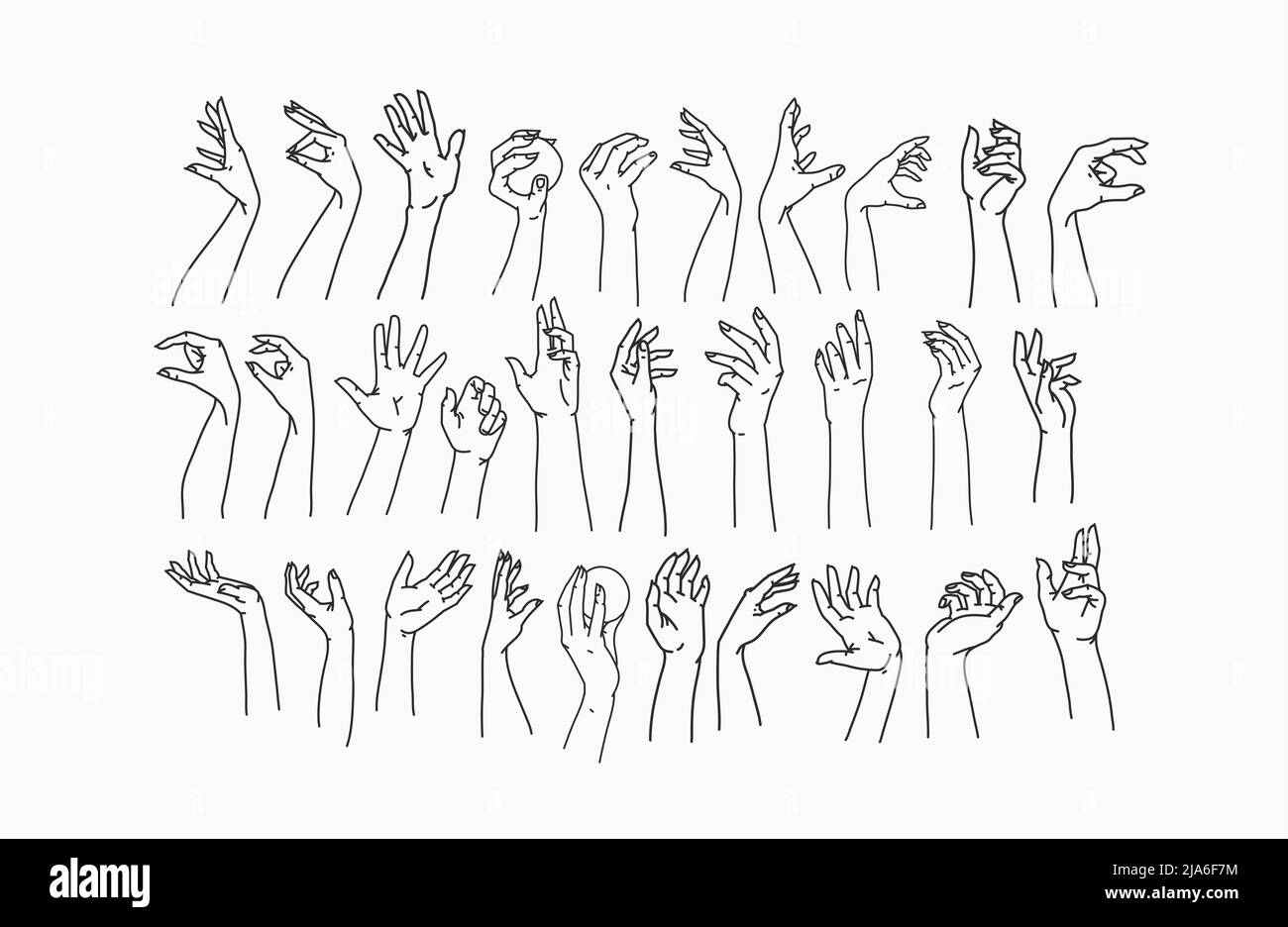 Ensemble de lignes de collection pour les femmes. Vecteur illustrations féminines des mains de femmes de différents gestes. Lineart dans un style tendance minimaliste Illustration de Vecteur