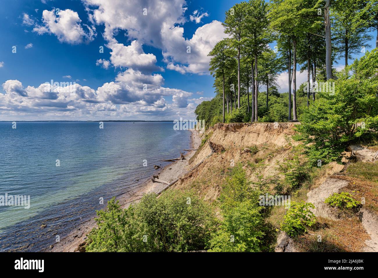 Sentier de randonnée danois de Gendarmsti dans le fjord de Flensborg au Danemark Banque D'Images