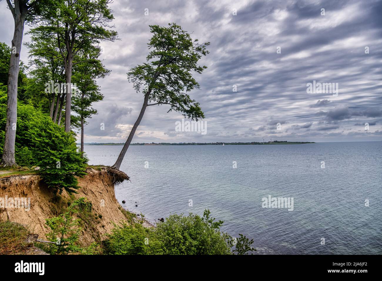 Sentier de randonnée danois de Gendarmsti dans le fjord de Flensborg au Danemark Banque D'Images