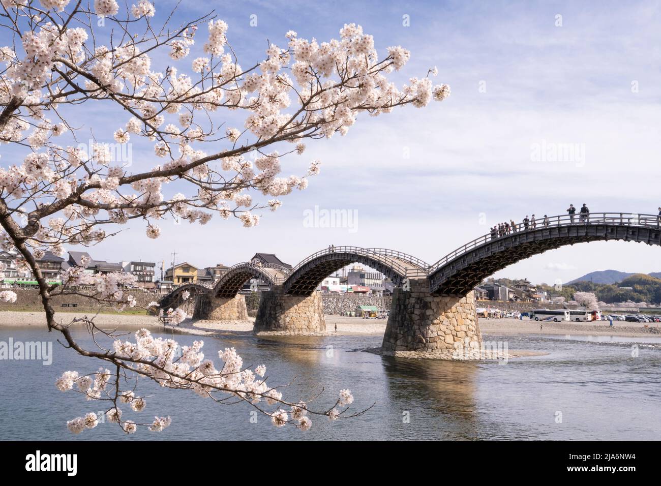 Pont Kintaikyo et cerisiers en fleurs, Iwakuni, préfecture de Yamaguchi, Honshu occidental, Japon Banque D'Images