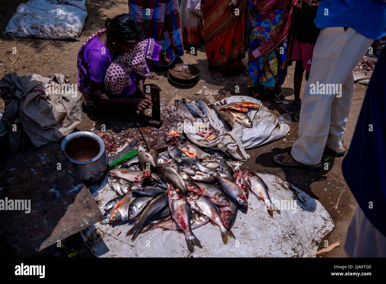 Femme asiatique vendant du poisson Banque D'Images