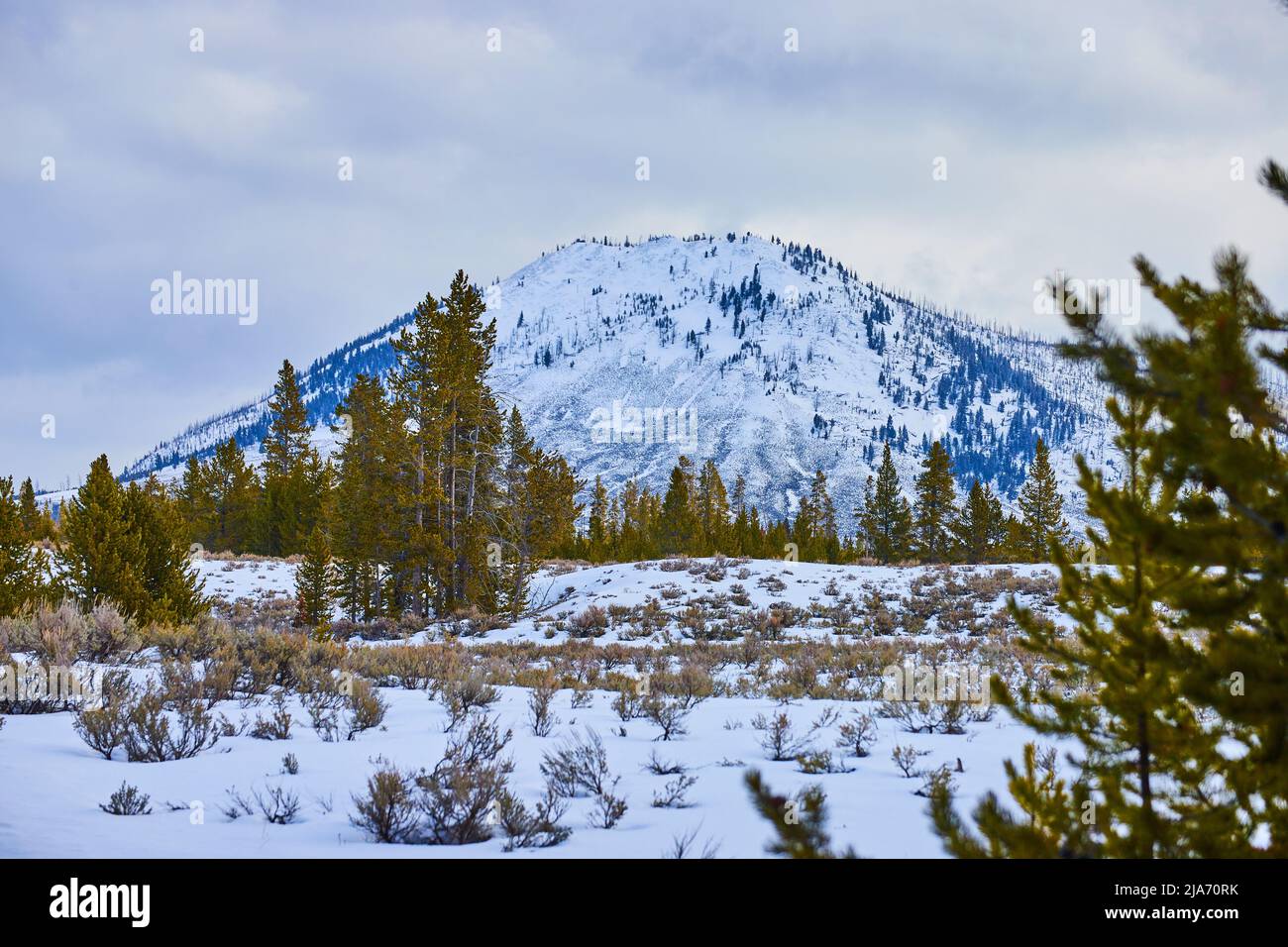 Magnifique paysage enneigé avec grande montagne enneigée Banque D'Images