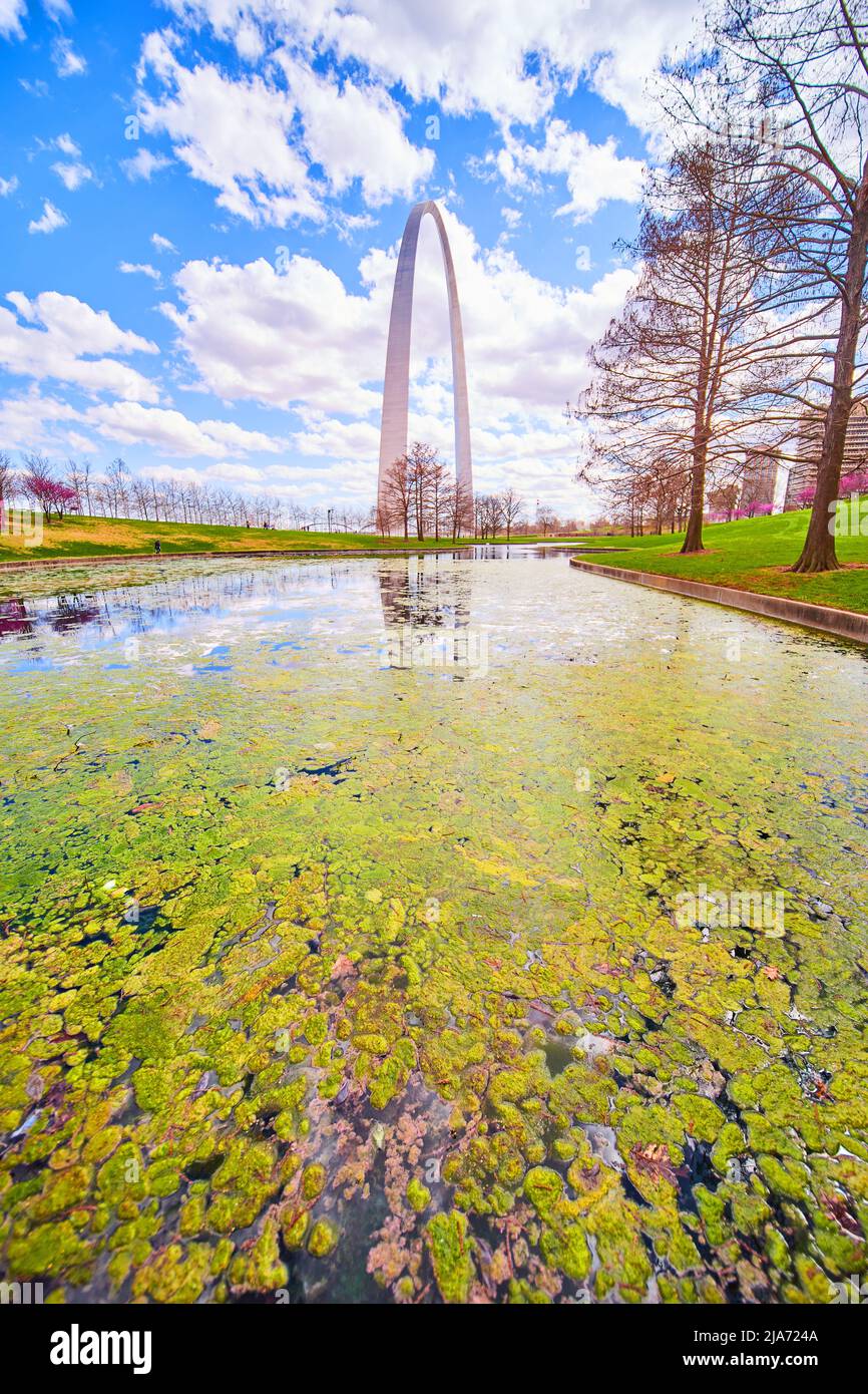 Gateway Arch vue derrière l'étang entièrement couvert de mousse et d'algues au début du printemps Banque D'Images