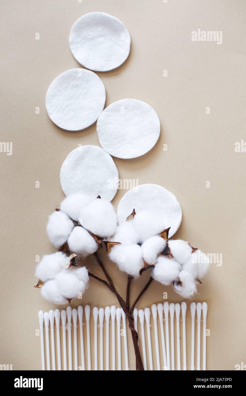 coton doux fleur tampons de coton et cotons-tiges sur un fond beige avec espace de copie. produit hygiénique jetable Banque D'Images