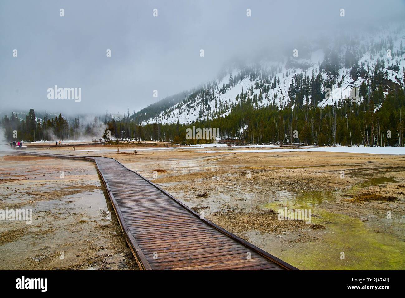 Promenades en bois à travers les dangereux bassins de Yellowstone vert par les montagnes de pins brumeux couvertes de neige Banque D'Images