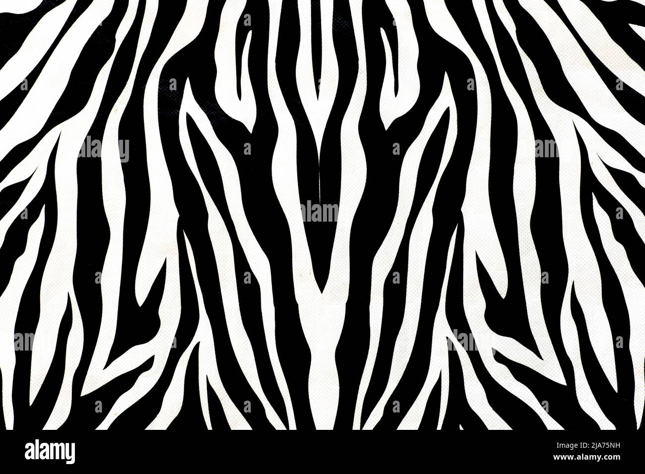 Peau d'animal de zèbre motif de fourrure abstrait texture pour le design et l'impression fond noir et blanc. Banque D'Images
