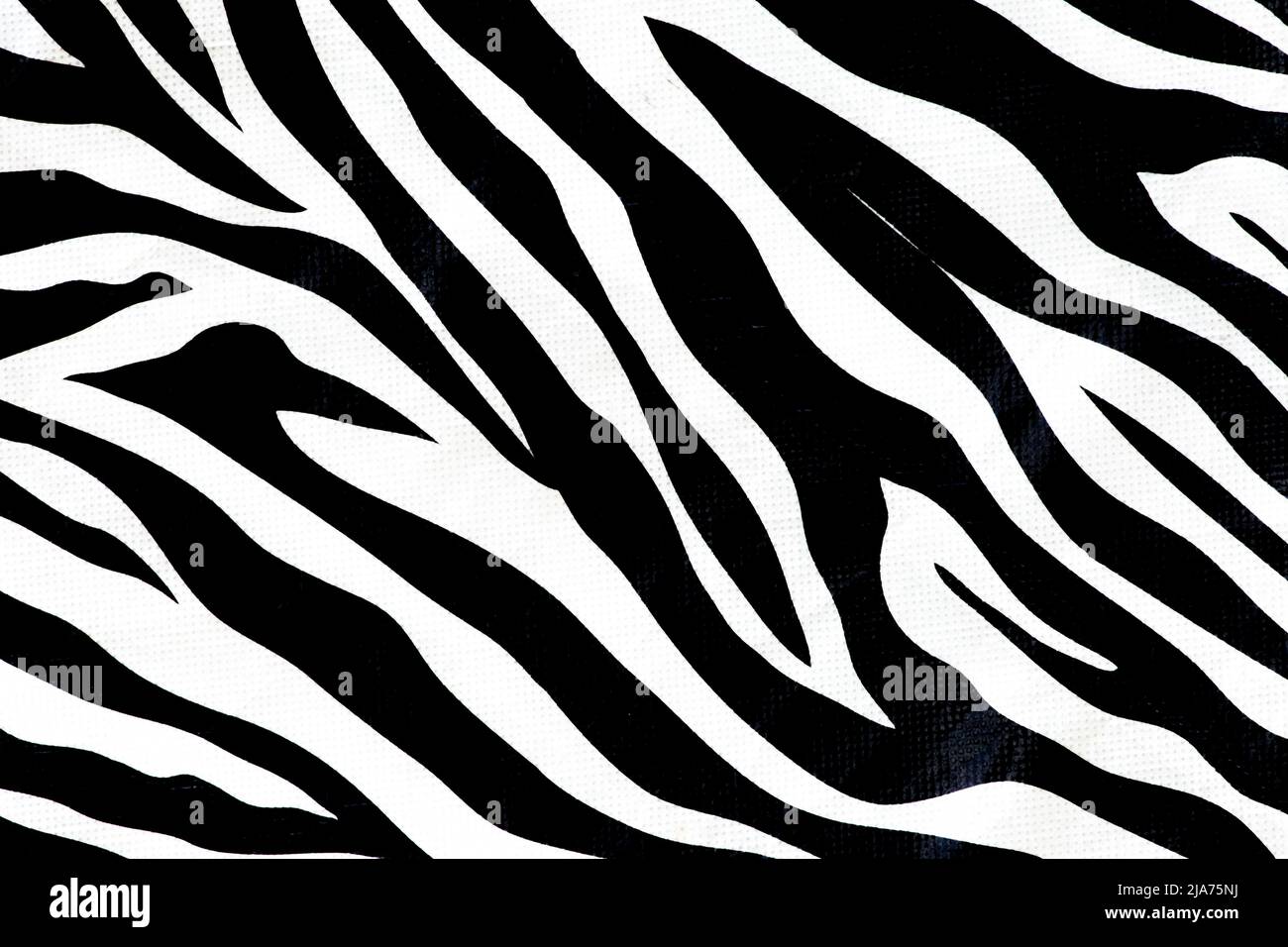 Peau d'animal de zèbre motif de fourrure abstrait texture pour le design et l'impression fond noir et blanc. Banque D'Images