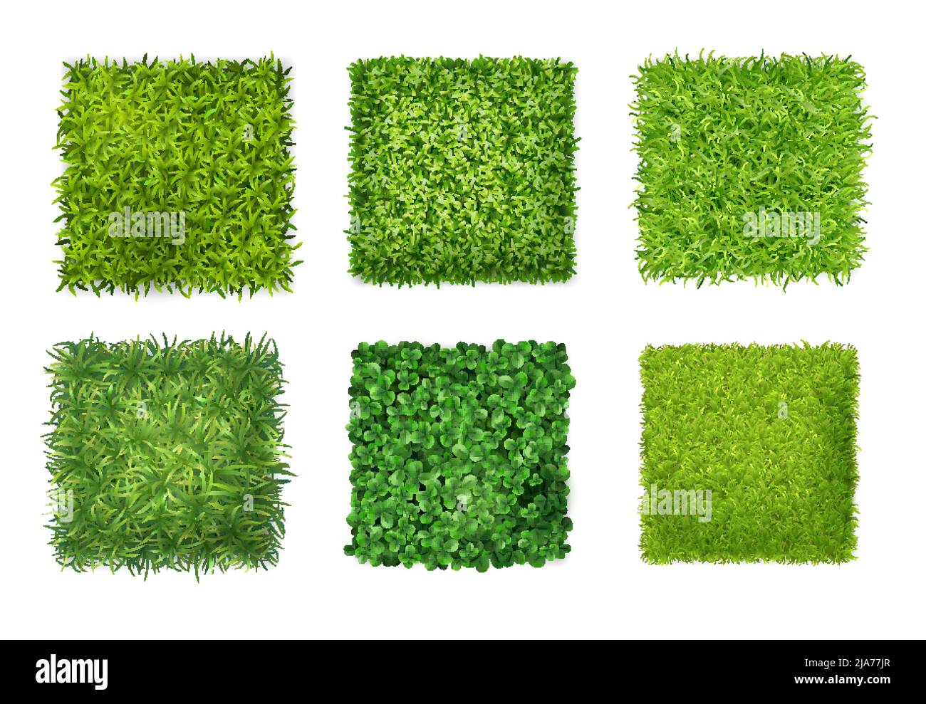 Surface de couverture plantes texture d'arrière-plan 6 icônes carrées réalistes ensemble avec herbe verte de trèfle feuilles illustration vectorielle Illustration de Vecteur