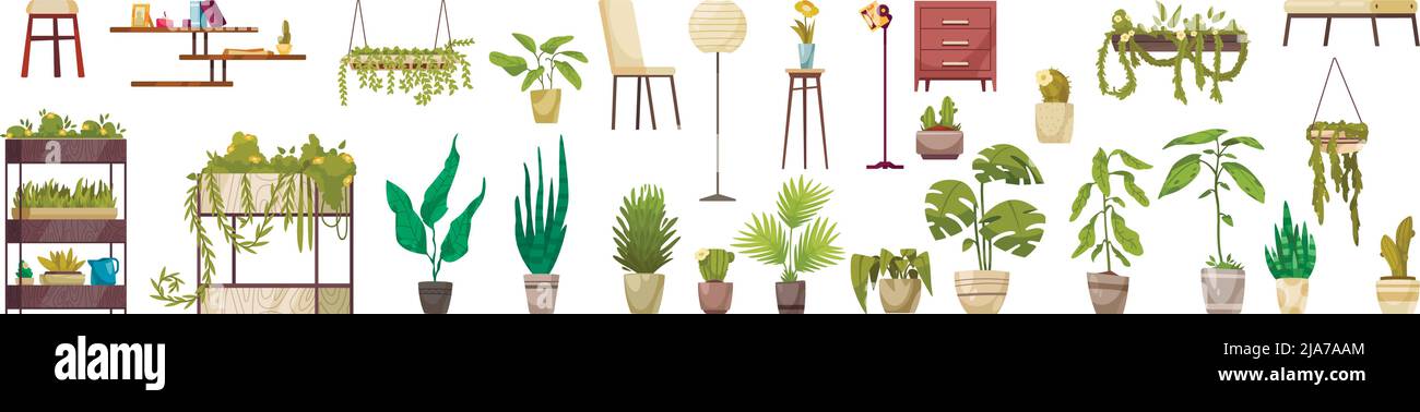 Maison décoration plantes vertes décidues en pots et planteurs ensemble horizontal illustration vectorielle isolée Illustration de Vecteur