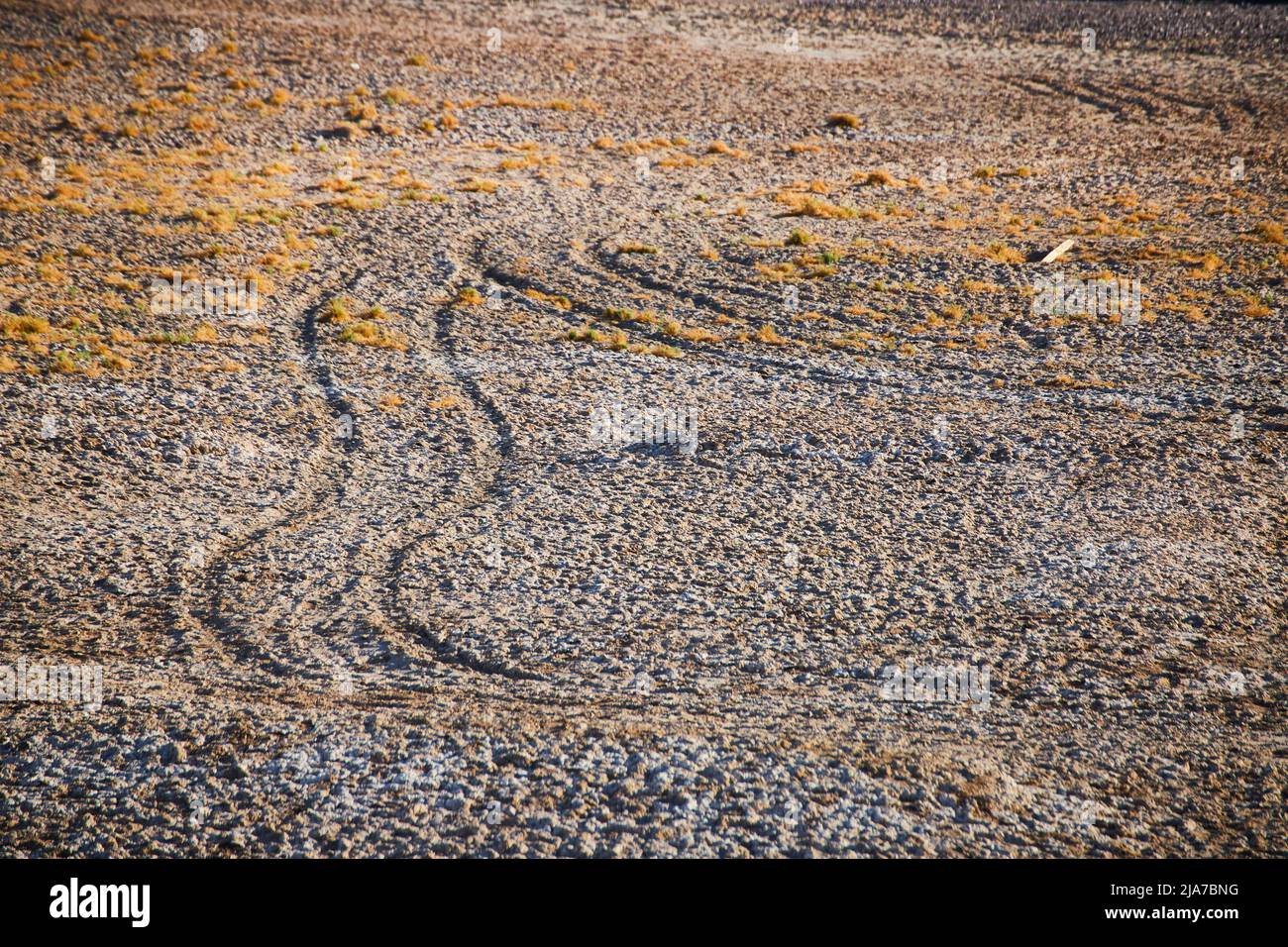 Détail du terrain désertique avec marques de pneus Banque D'Images