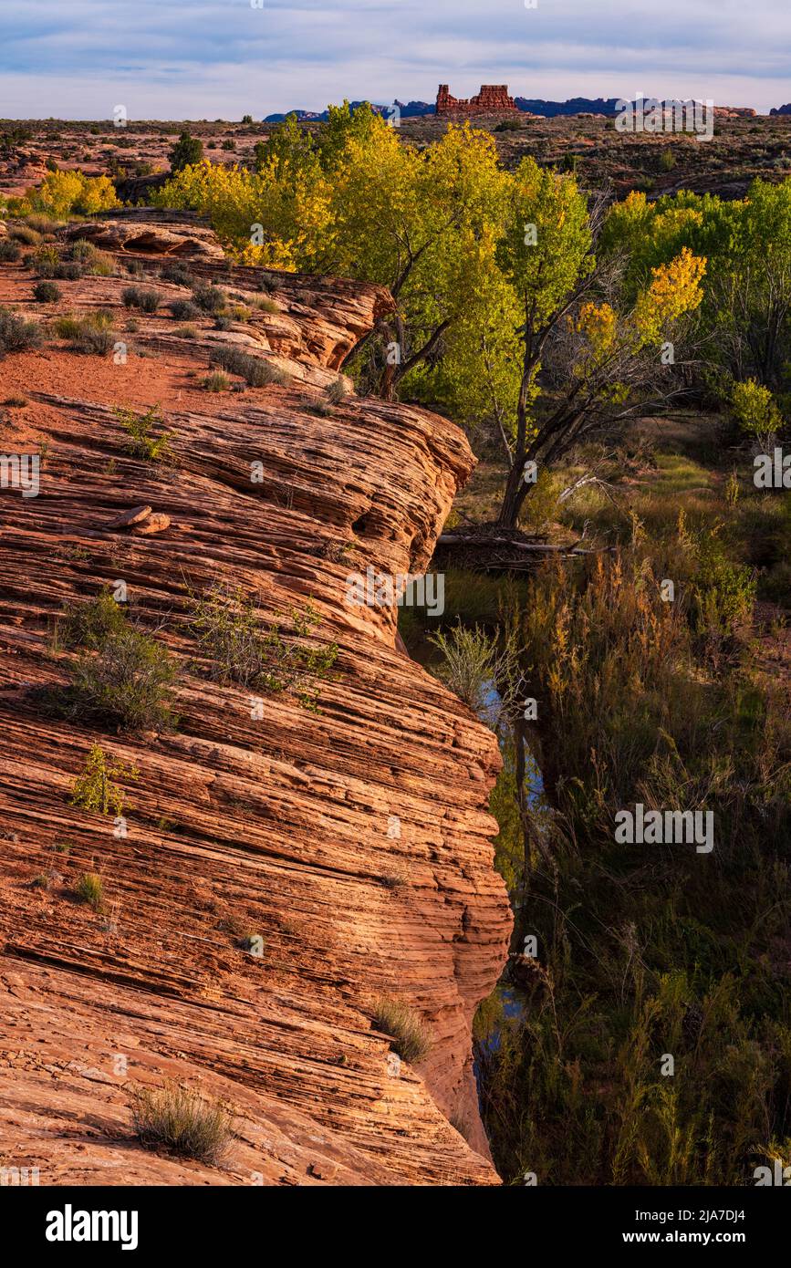 Le parc national d'Arches, dans l'Utah, est un parc de cotonwoods d'automne et de rochers rouges Banque D'Images