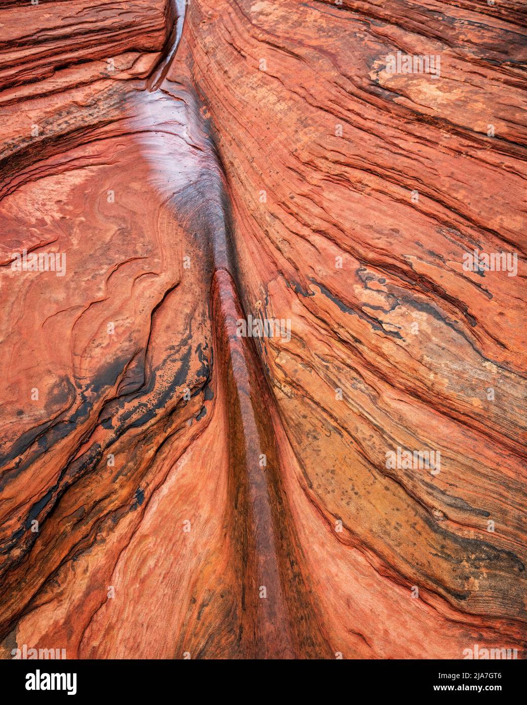 Rochers sculptés dans l'eau de la zone des nombreuses piscines du parc national de Zion, dans l'Utah Banque D'Images