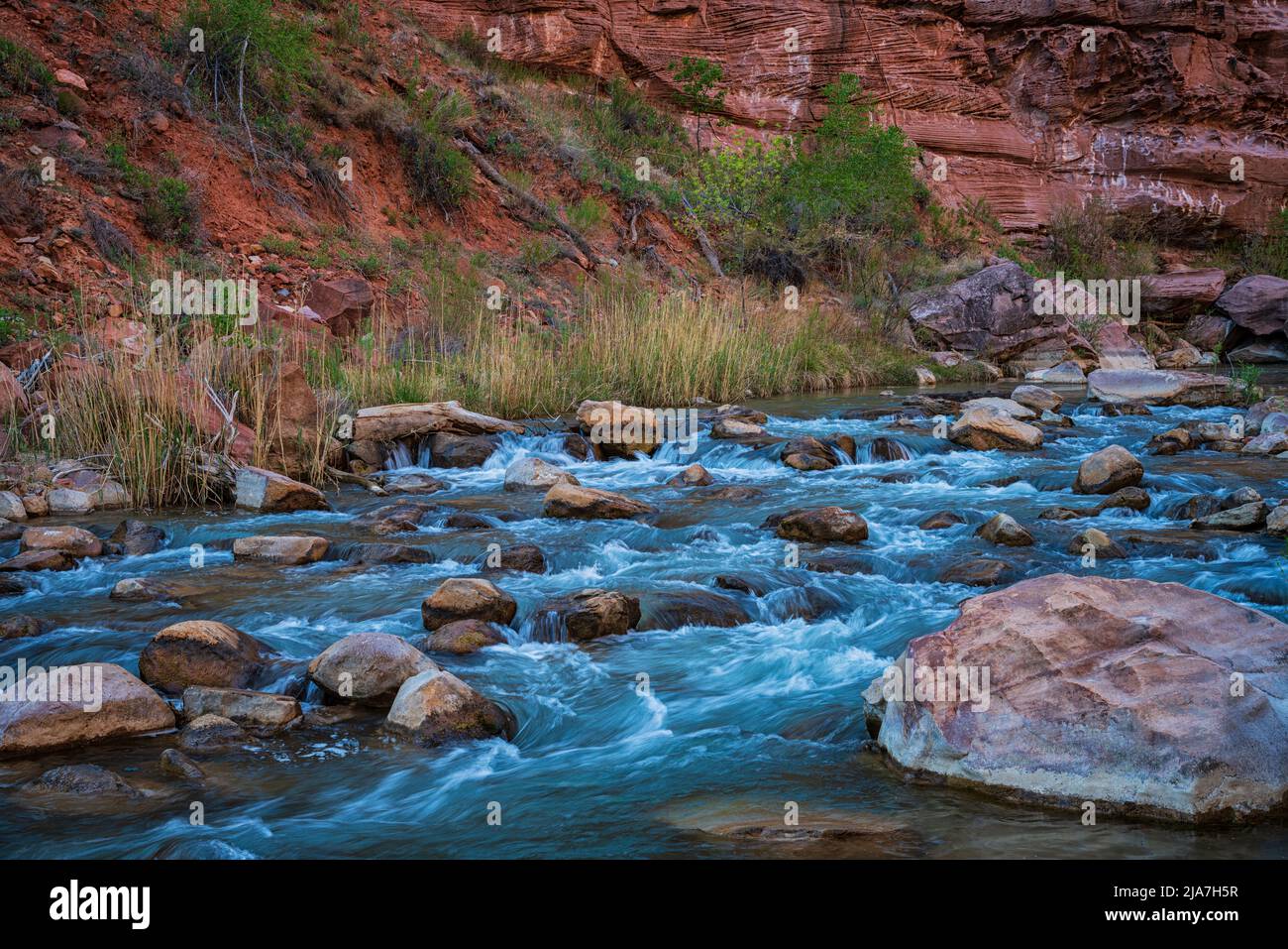 Virgin River s'écoulant dans le canyon au parc national de Zion, dans l'Utah Banque D'Images