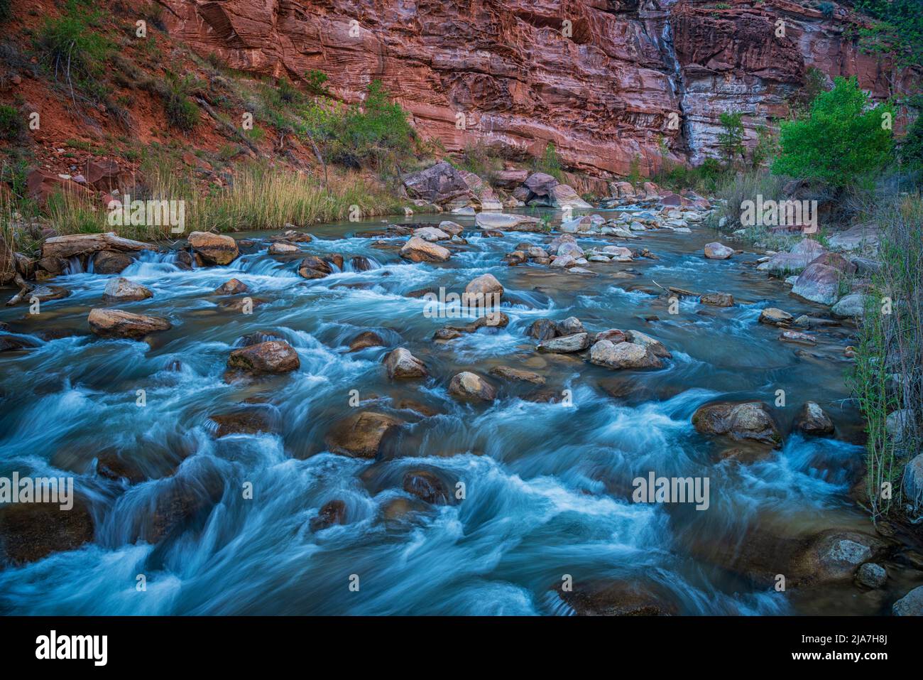 Virgin River s'écoulant dans le canyon au parc national de Zion, dans l'Utah Banque D'Images