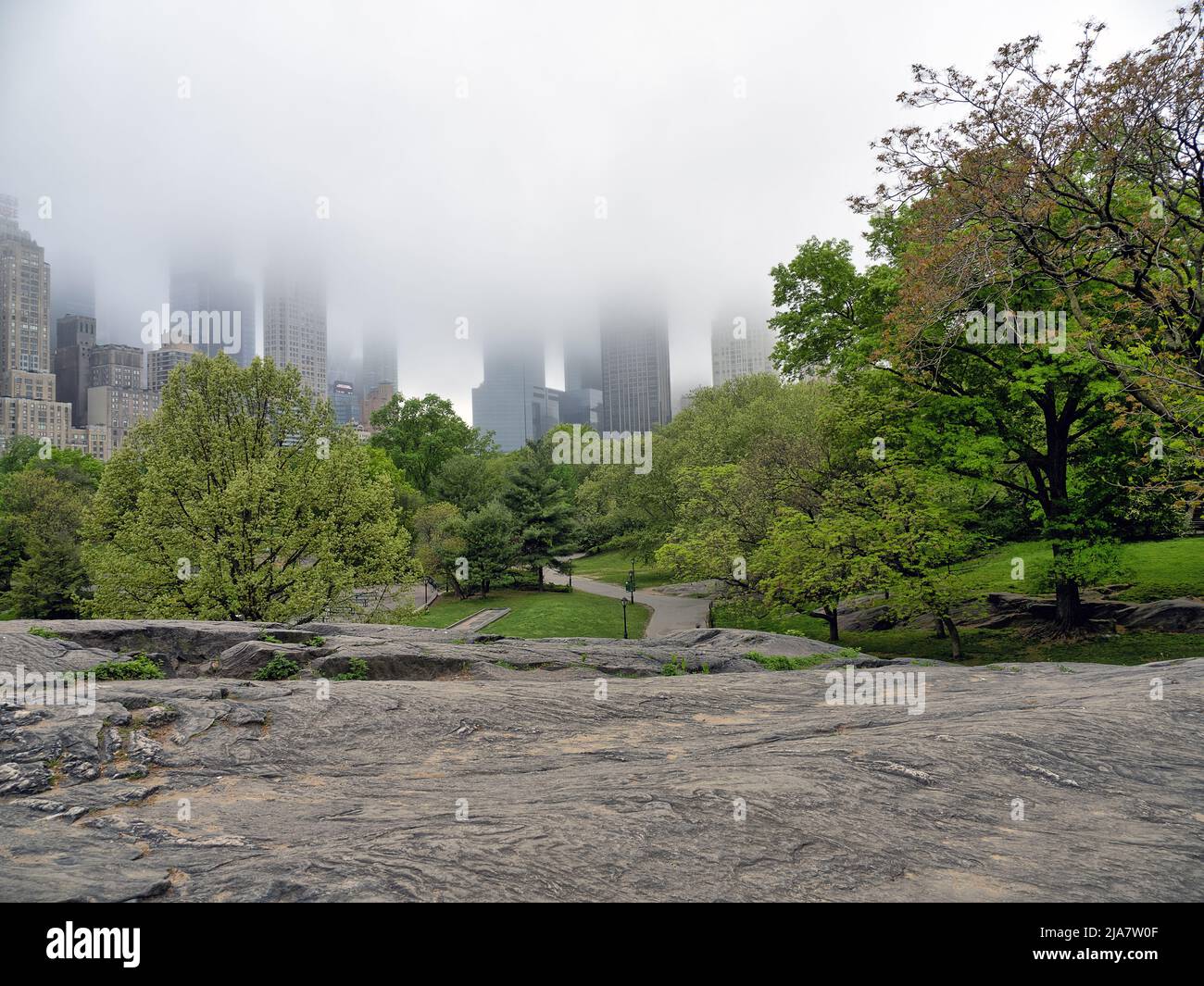 Le printemps à Central Park, New York, le matin fade Banque D'Images