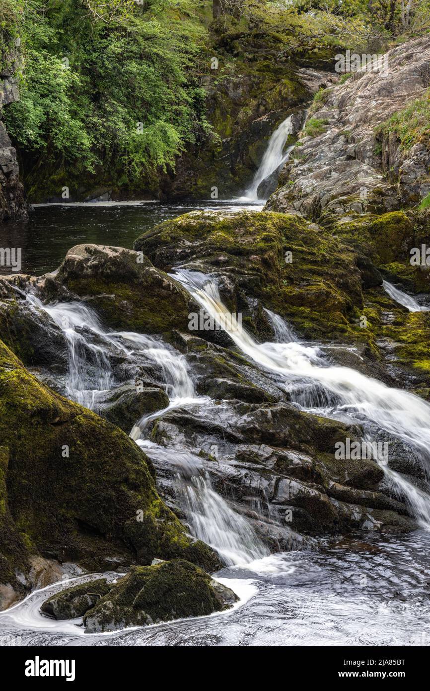 Beezley Falls sur la rivière Doe sur le sentier des chutes d'eau d'Ingleton dans le parc national de Yorkshire Dales, Yorkshire, Angleterre, Royaume-Uni Banque D'Images