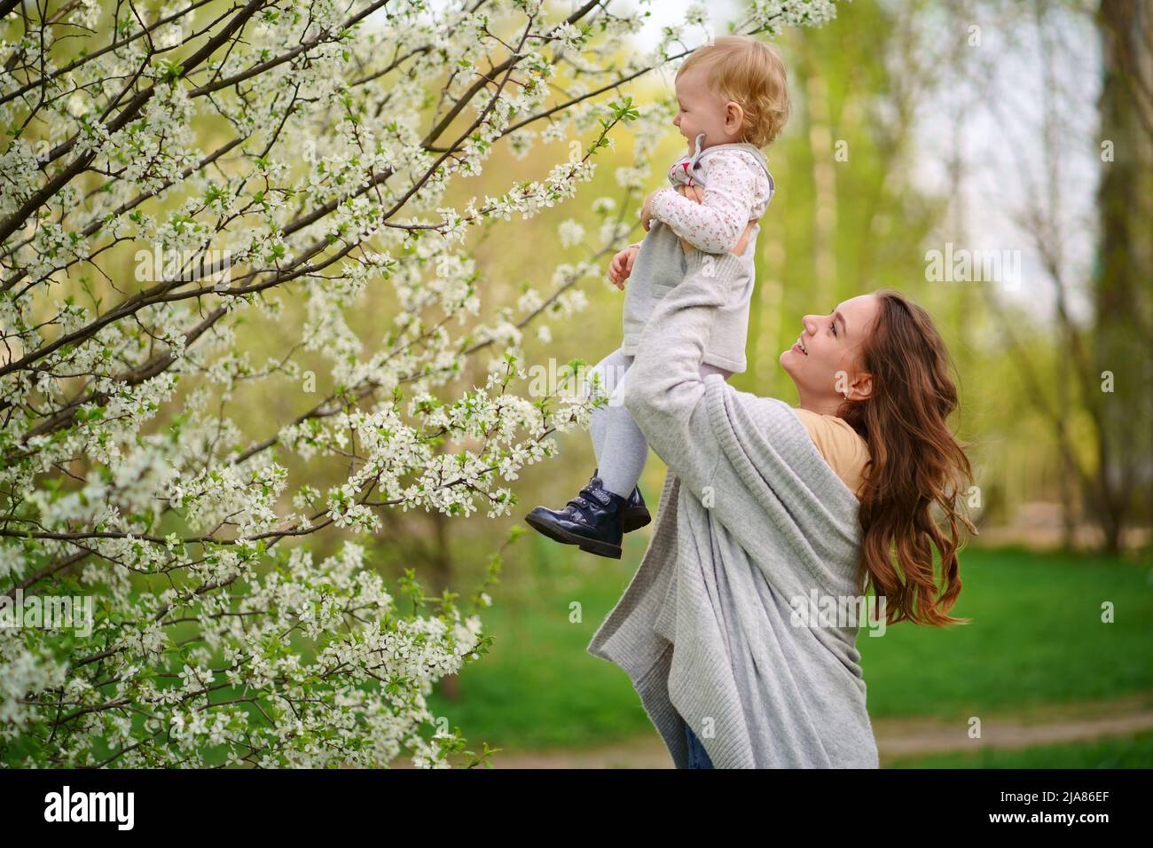 mère tenant un bébé dans ses bras dans un jardin de cerisiers en fleurs Banque D'Images
