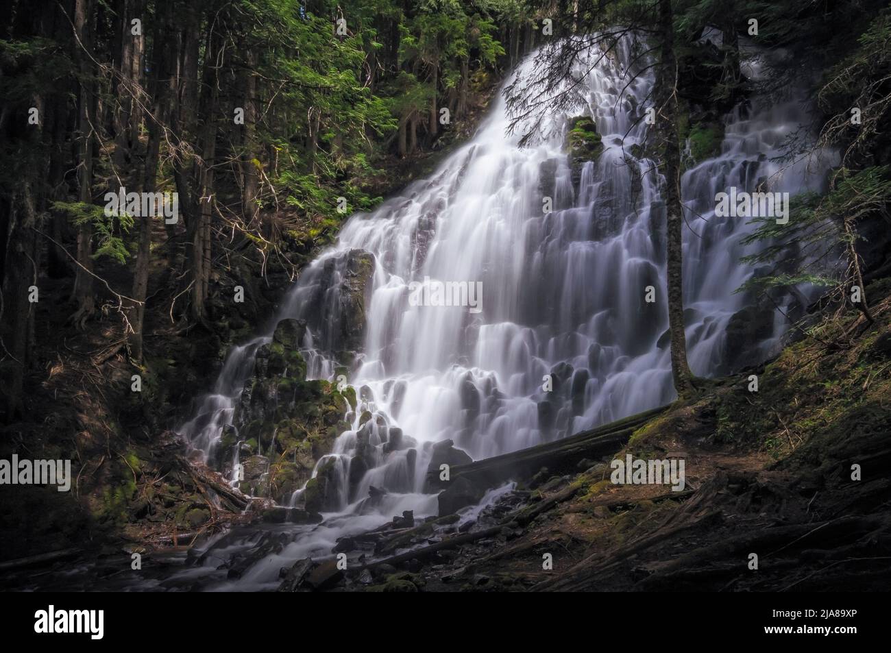 Ramona Falls, Mount Hood Wilderness, Oregon. Banque D'Images