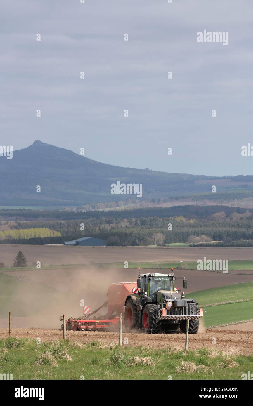 Un fermier semant de l'orge sur une ferme dans Aberdeenshire en vue de Bennachie Banque D'Images