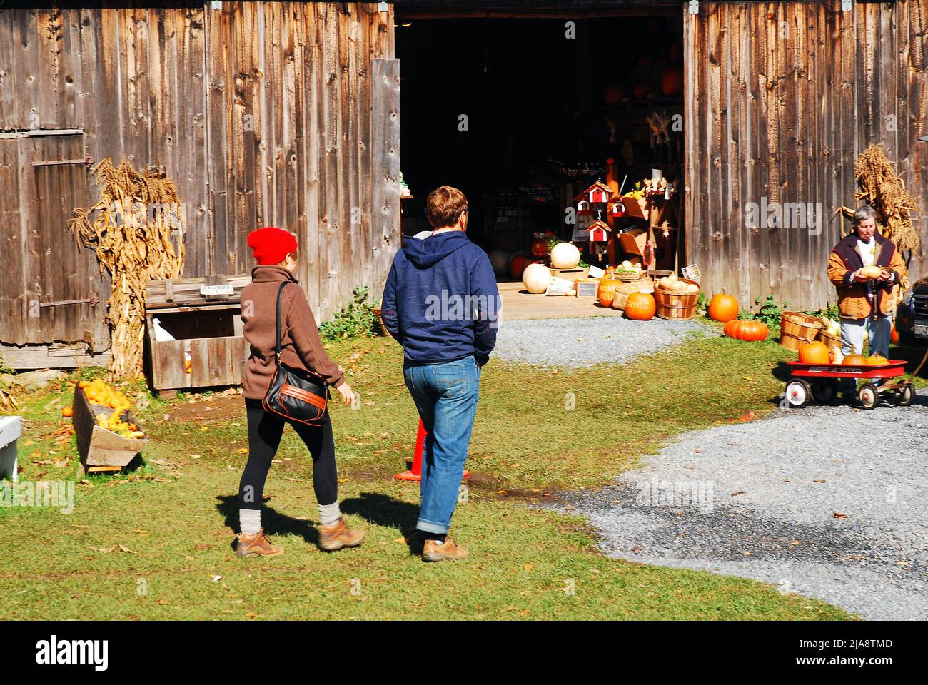 Un couple erre dans une ferme en bord de route, à la recherche de décorations d'automne Banque D'Images