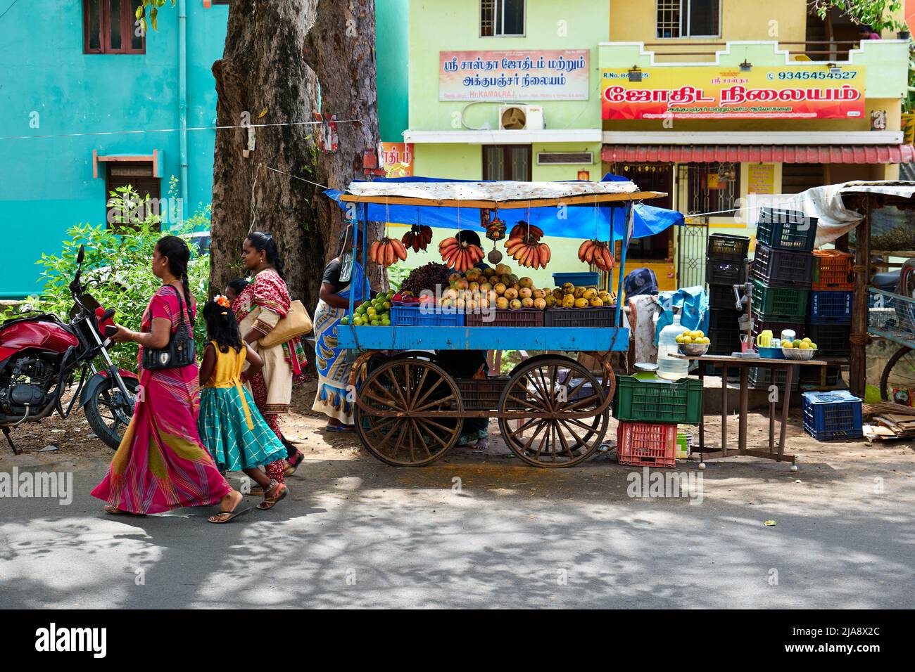 Femme indienne vendant des fruits sur le bord de la route Banque D'Images