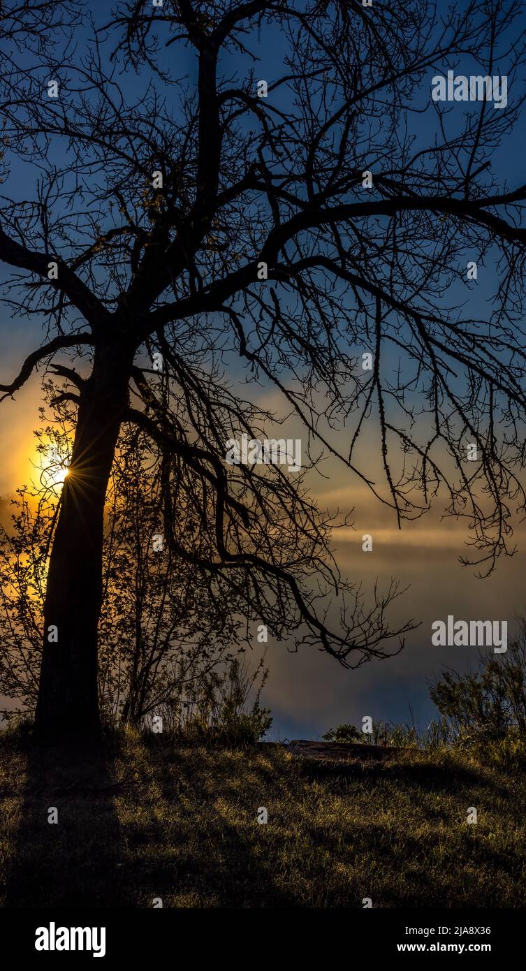 Lever du soleil sur le lac Blaisdell dans le nord du Wisconsin. Banque D'Images